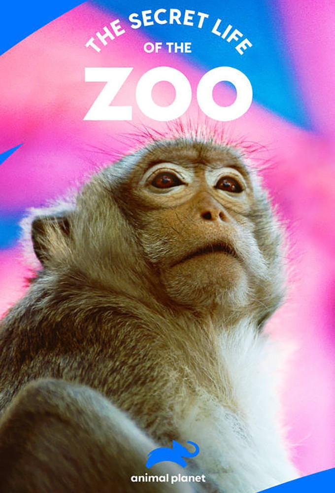 La vie secrète du Zoo saison 3