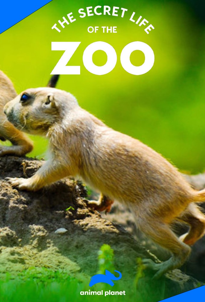 La vie secrète du Zoo saison 8