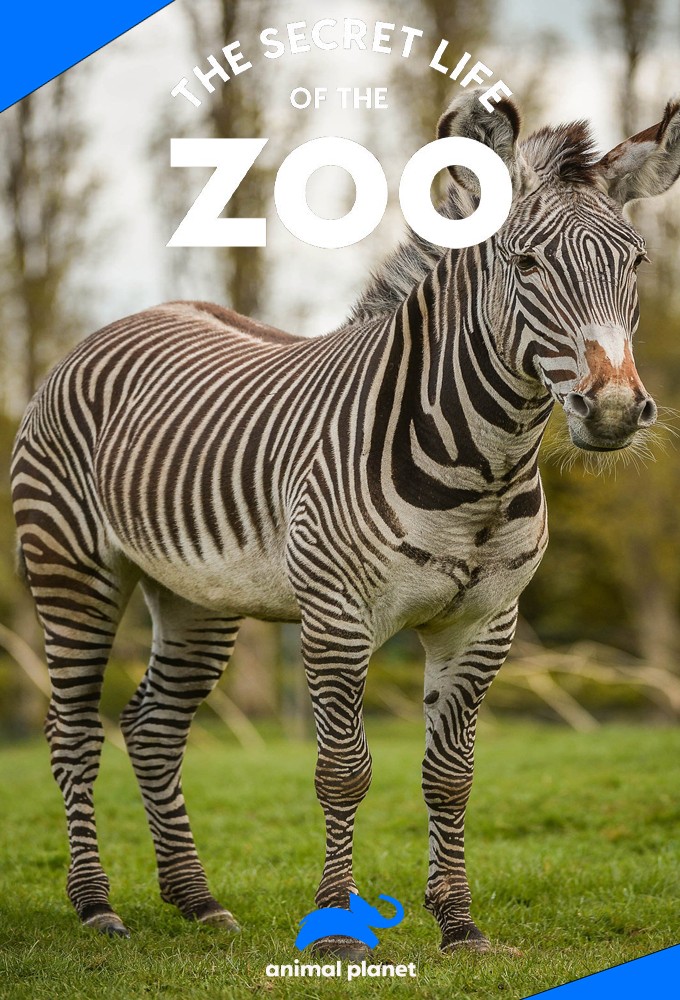 La vie secrète du Zoo saison 6