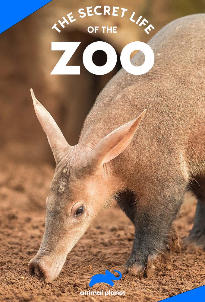 La vie secrète du Zoo saison 9