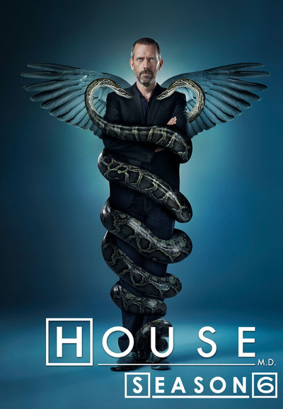 Dr House saison 6