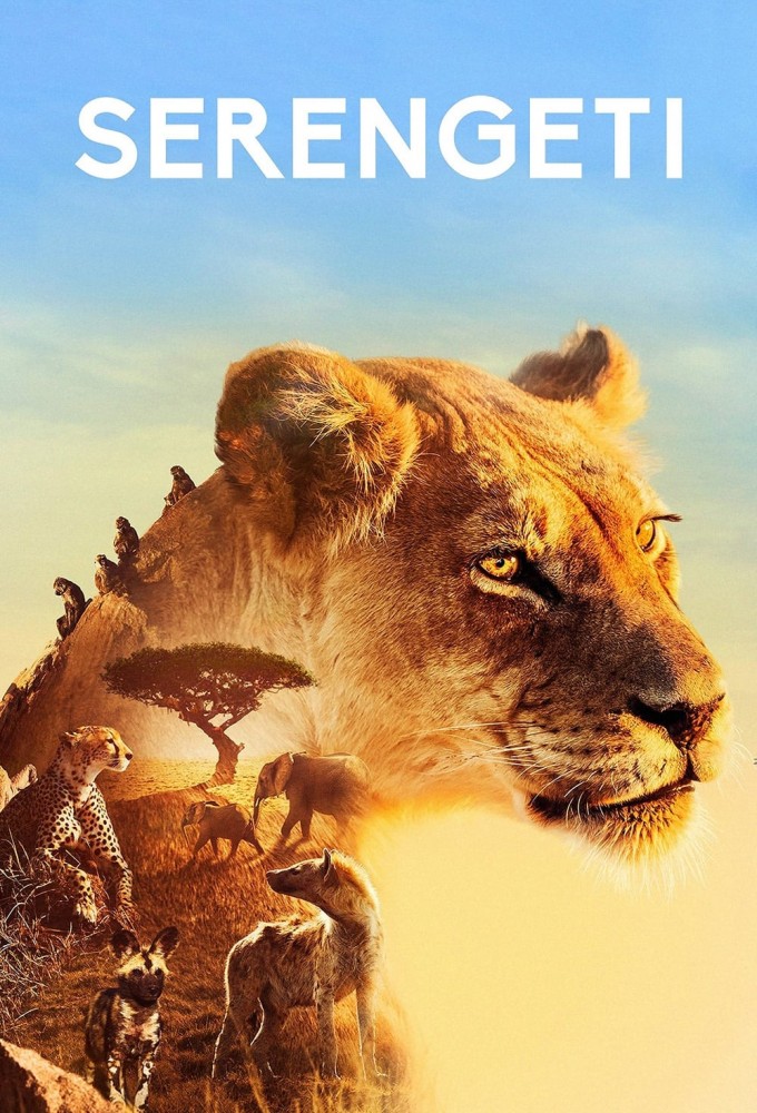 Serengeti saison 1