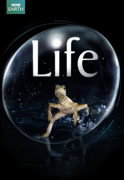 Life (BBC) saison 1