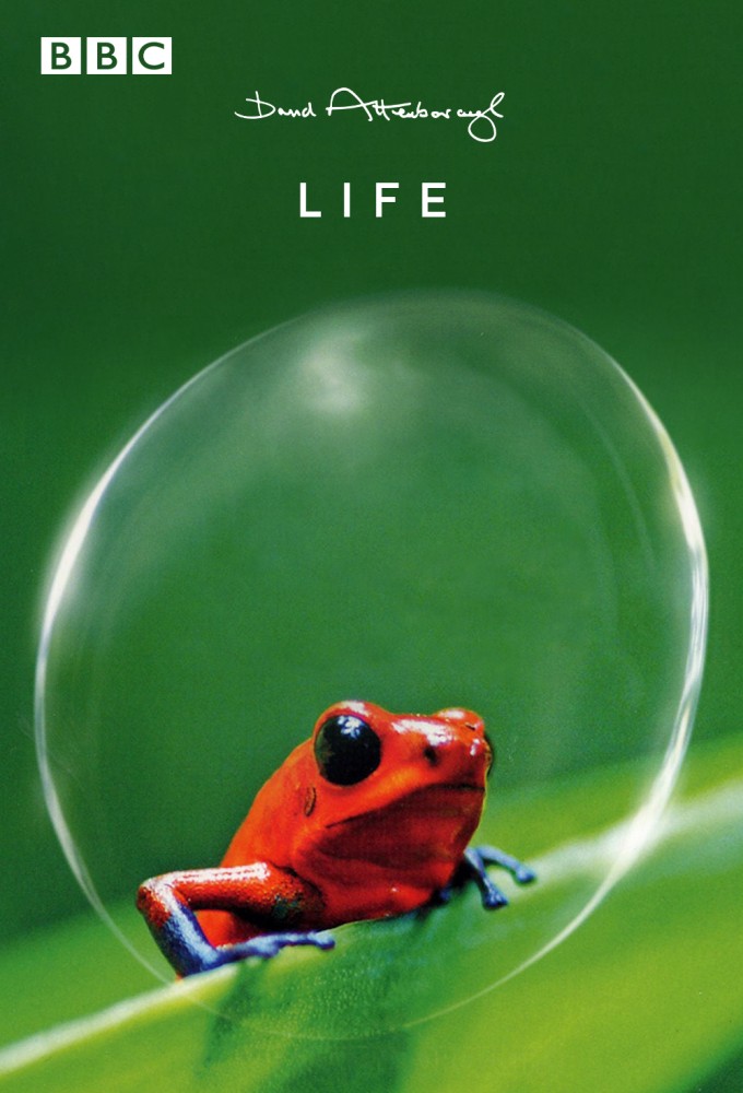 Life (2009) saison 1