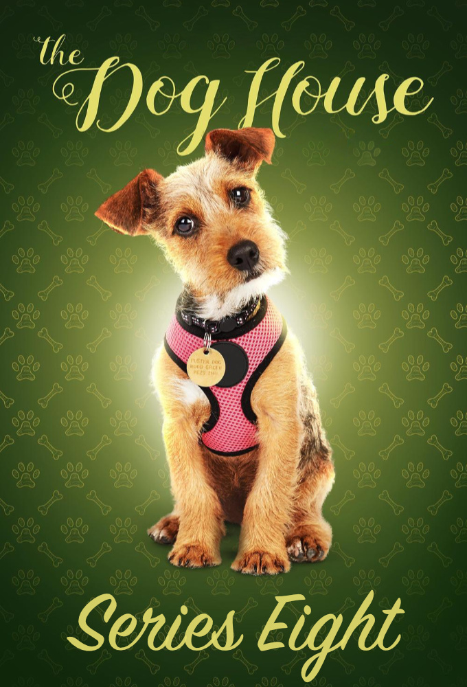 The Dog House saison 8