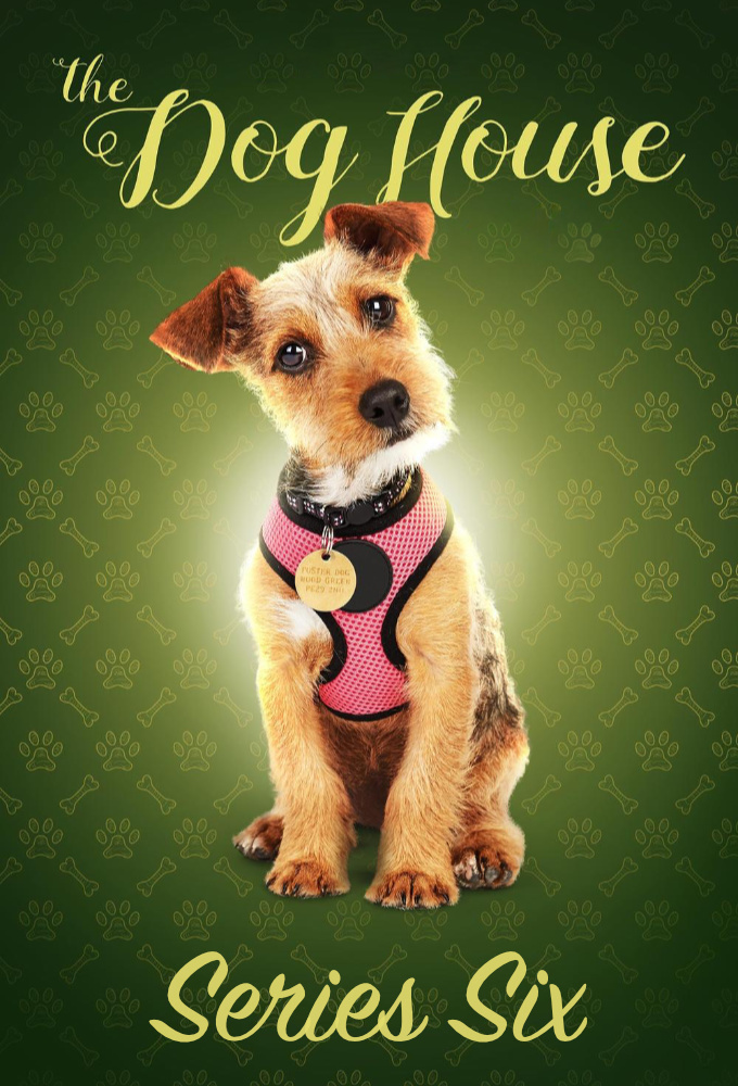 The Dog House saison 6