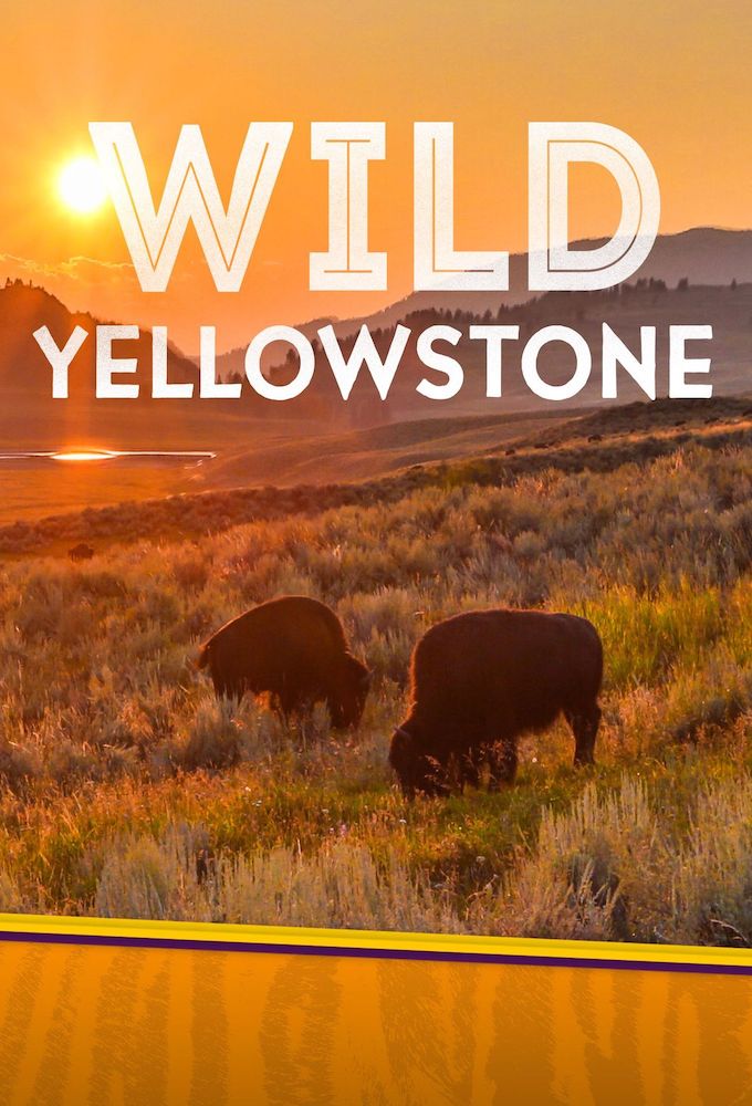 Wild Yellowstone saison 1