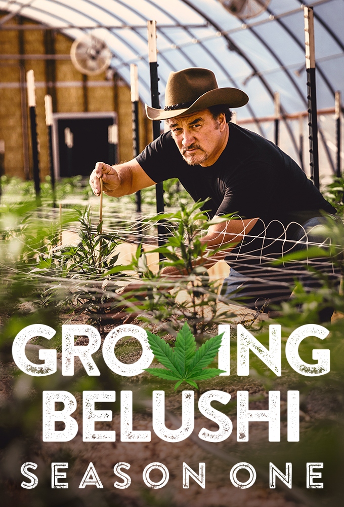 Growing Belushi saison 1