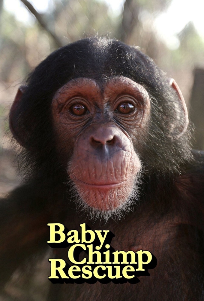 Baby Chimp Rescue saison 1