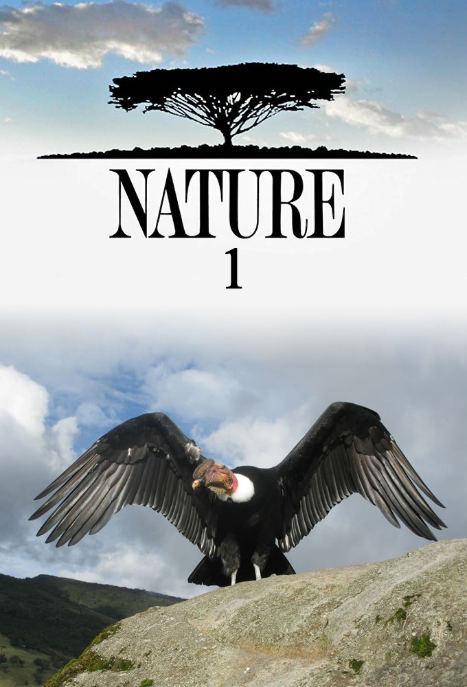 Nature saison 1