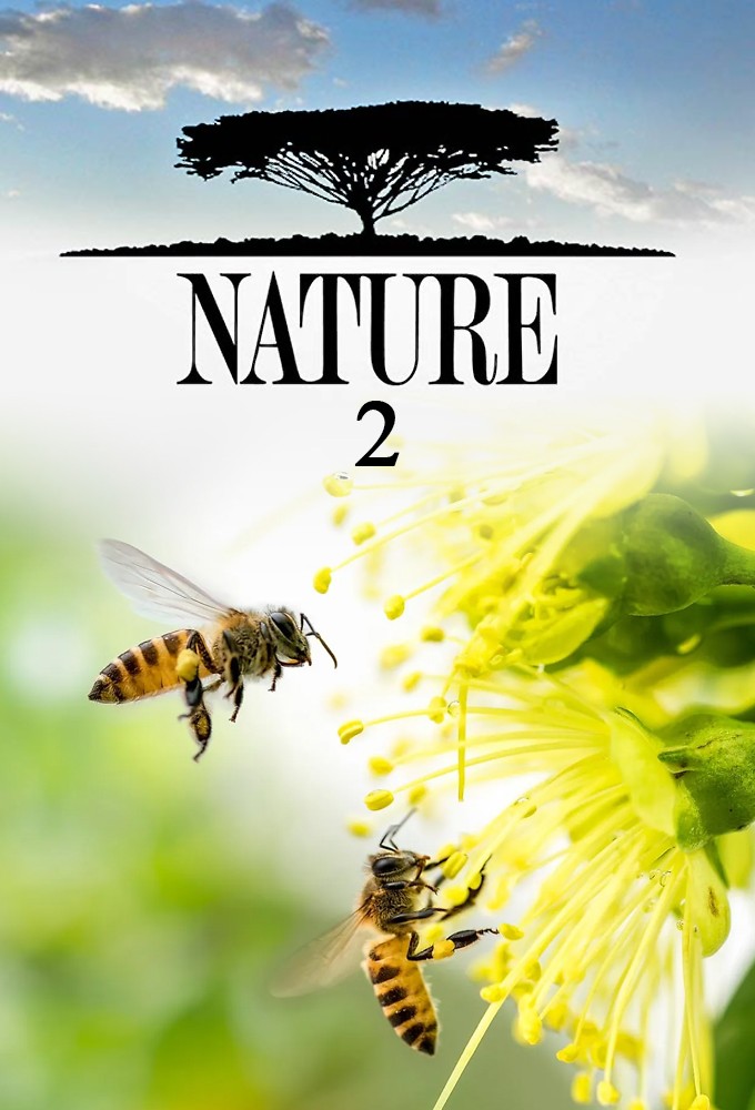 Nature saison 2