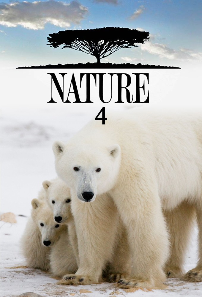 Nature saison 4