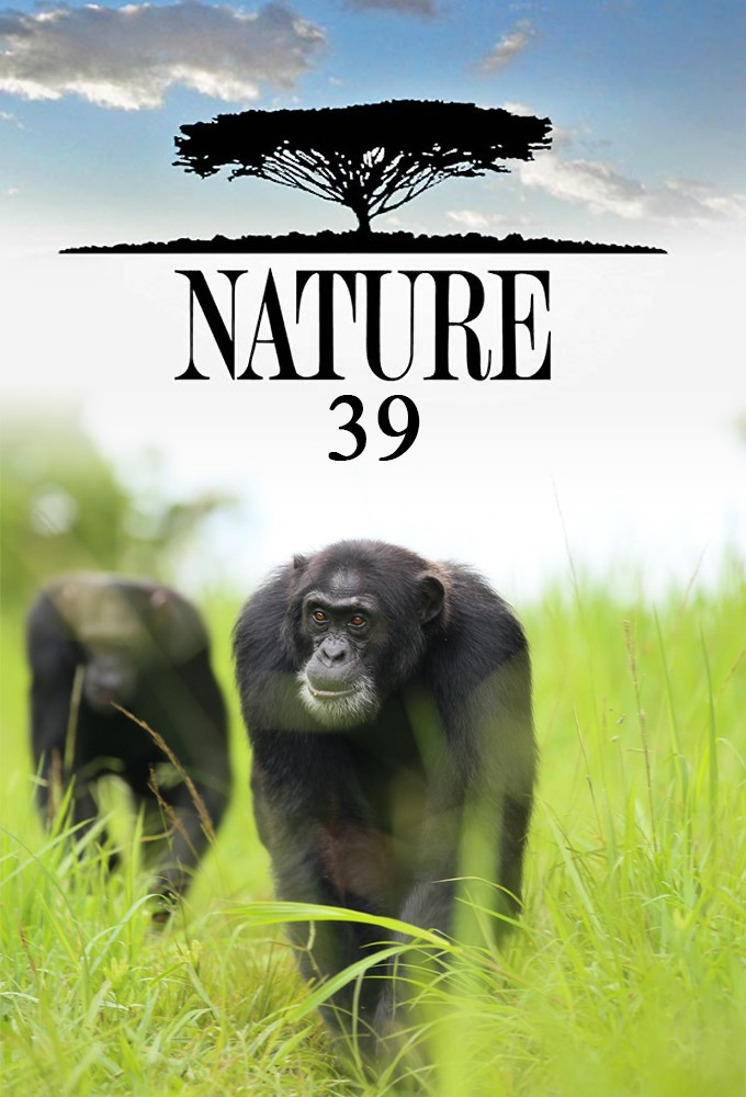 Nature saison 39