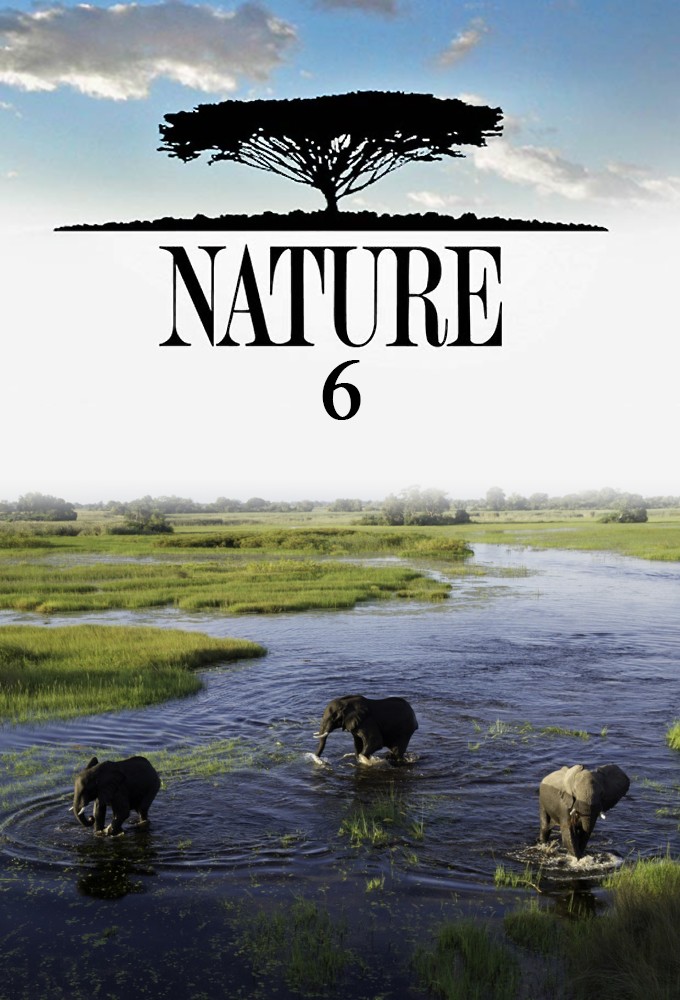 Nature saison 6