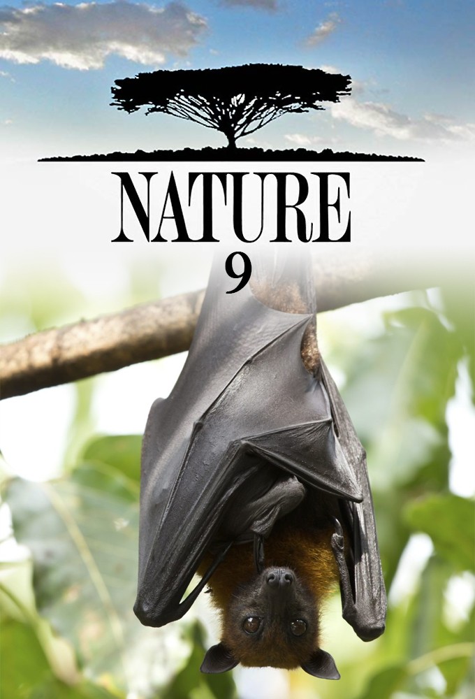 Nature saison 9