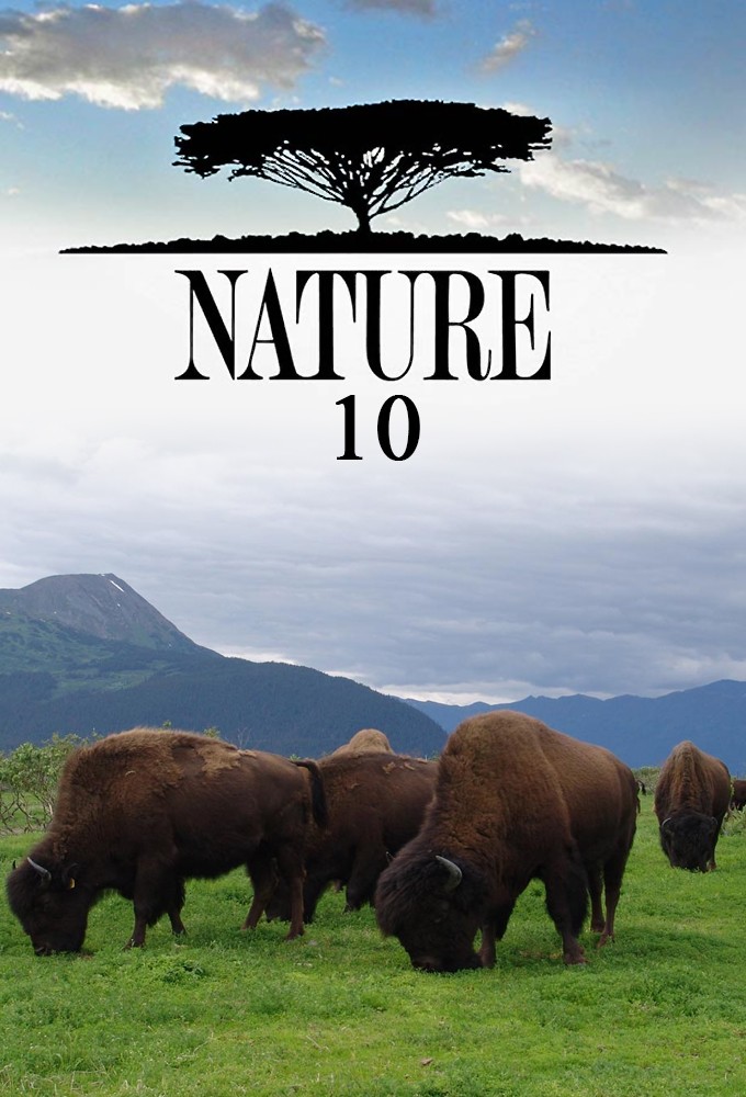 Nature saison 10