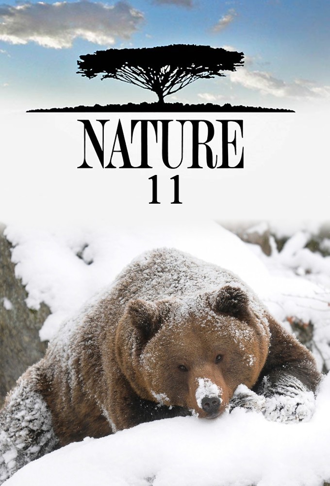 Nature saison 11