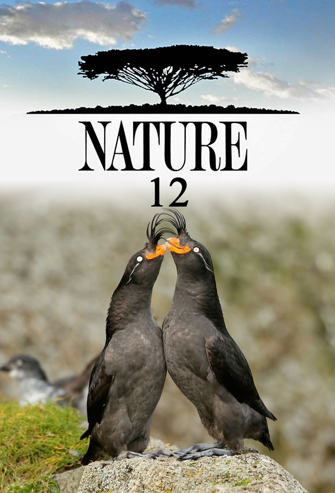 Nature saison 12