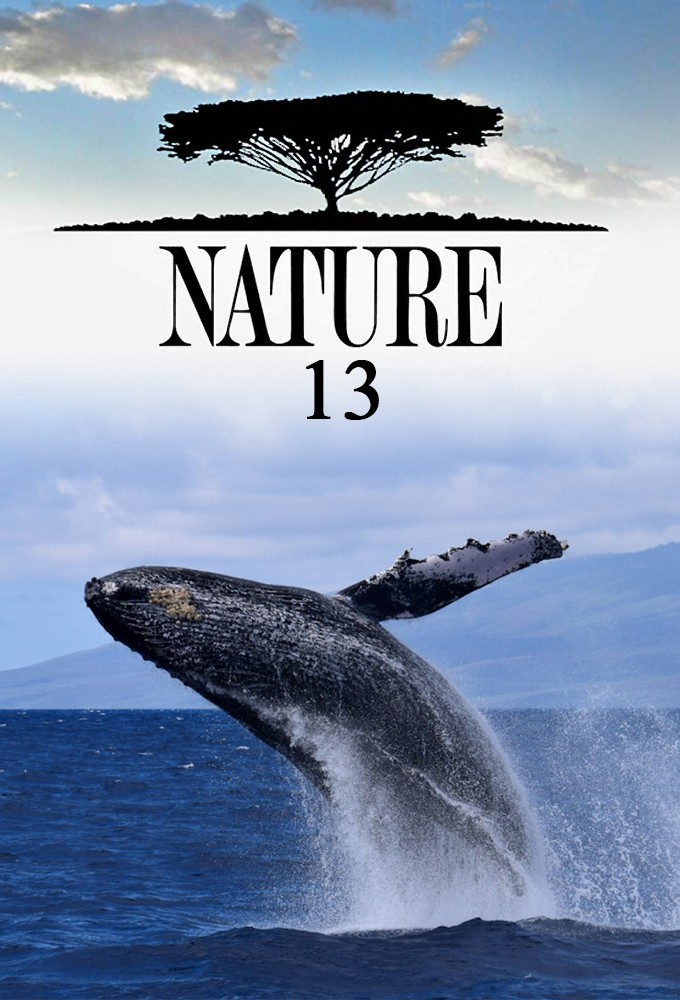 Nature saison 13