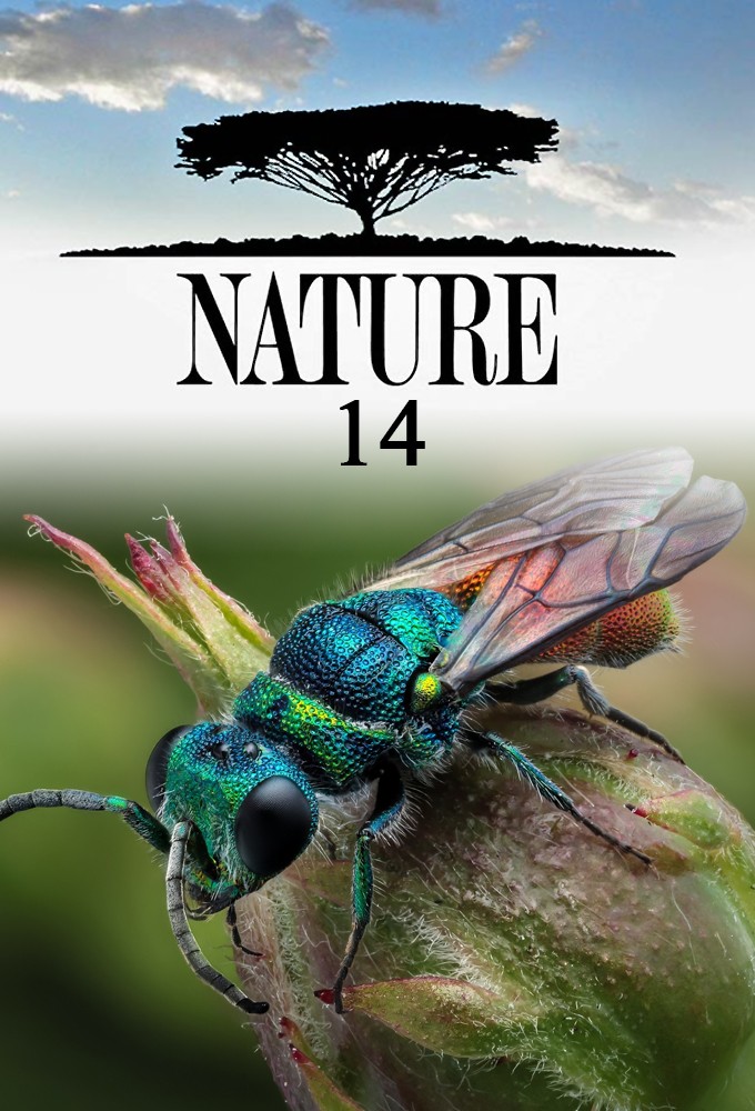 Nature saison 14