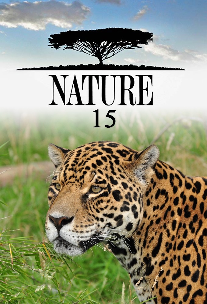 Nature saison 15