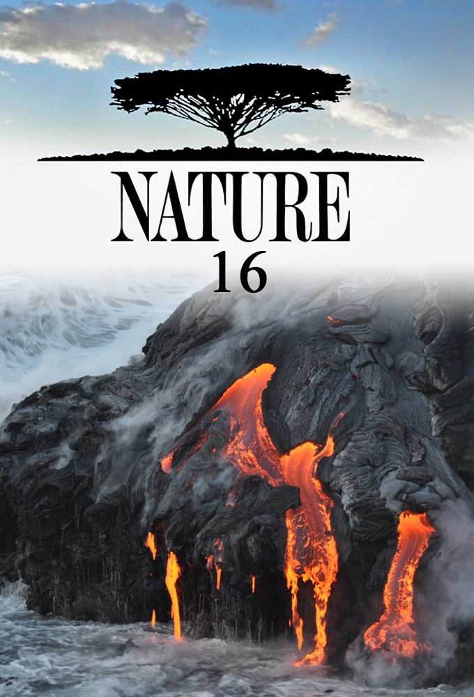 Nature saison 16