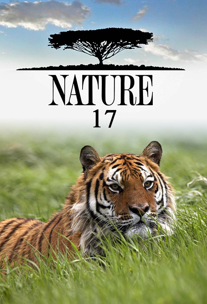 Nature saison 17