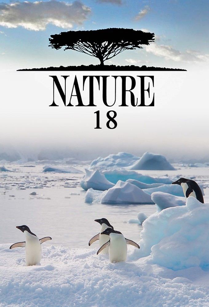 Nature saison 18