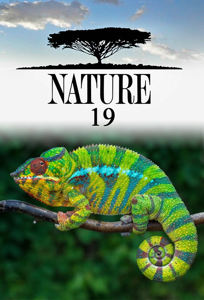 Nature saison 19