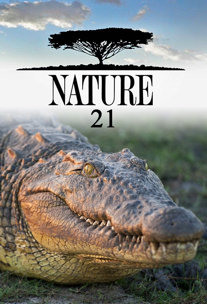 Nature saison 21