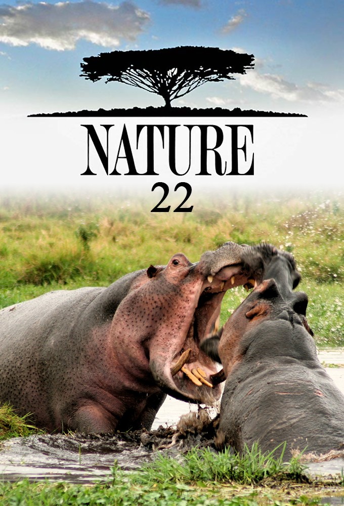 Nature saison 22