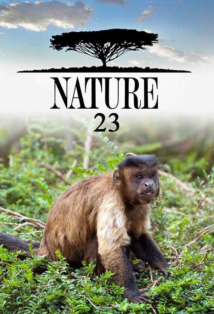 Nature saison 23