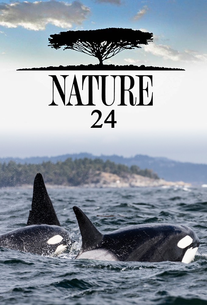 Nature saison 24