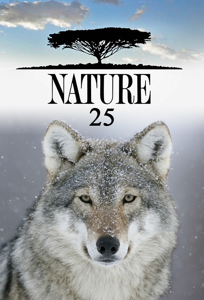 Nature saison 25