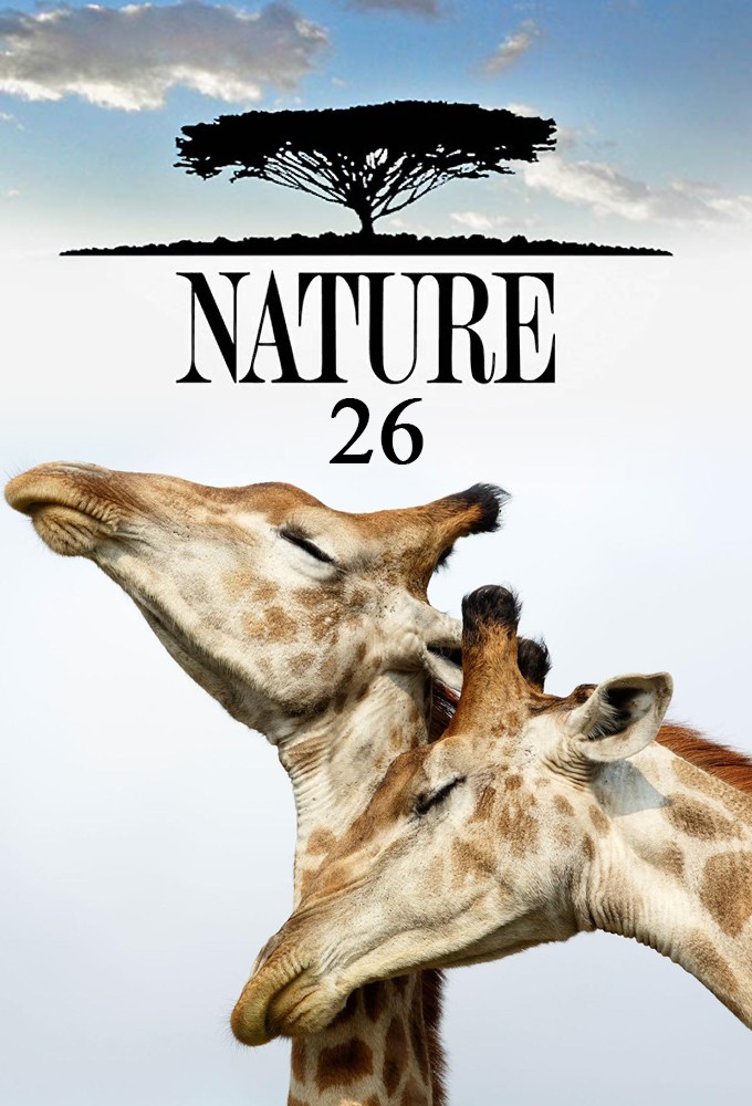 Nature saison 26