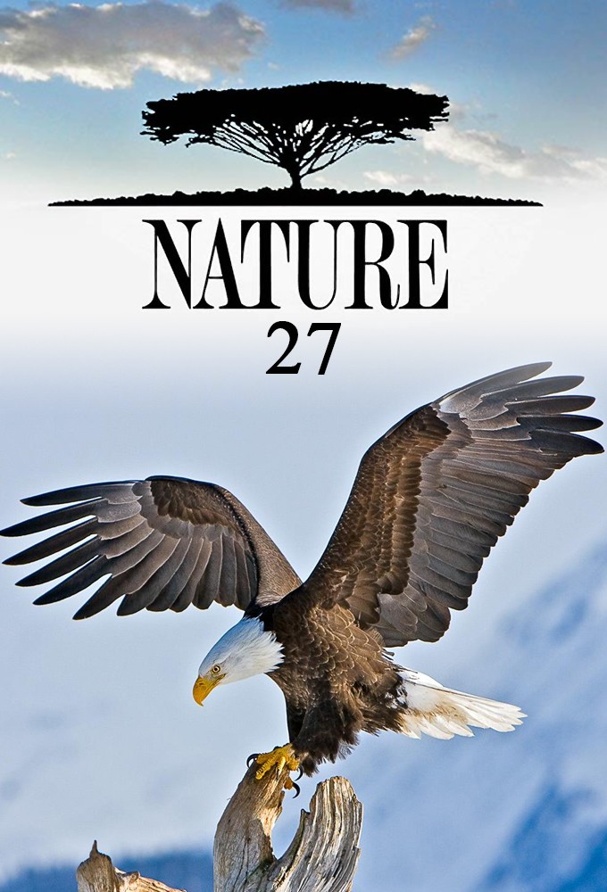 Nature saison 27