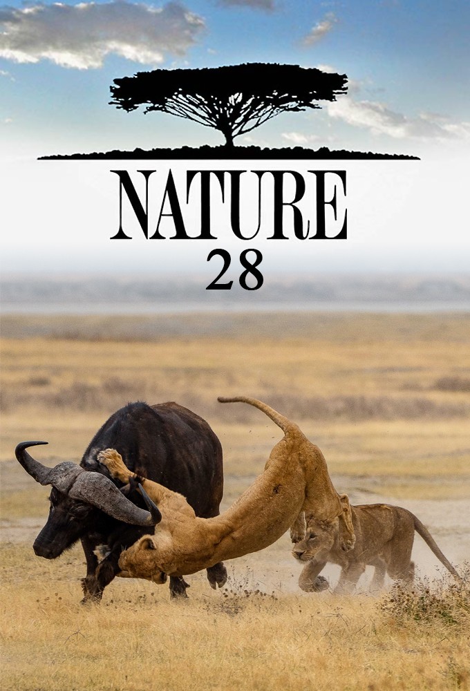 Nature saison 28