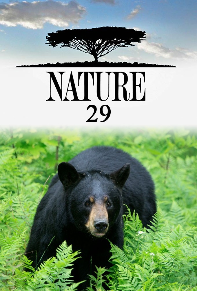 Nature saison 29