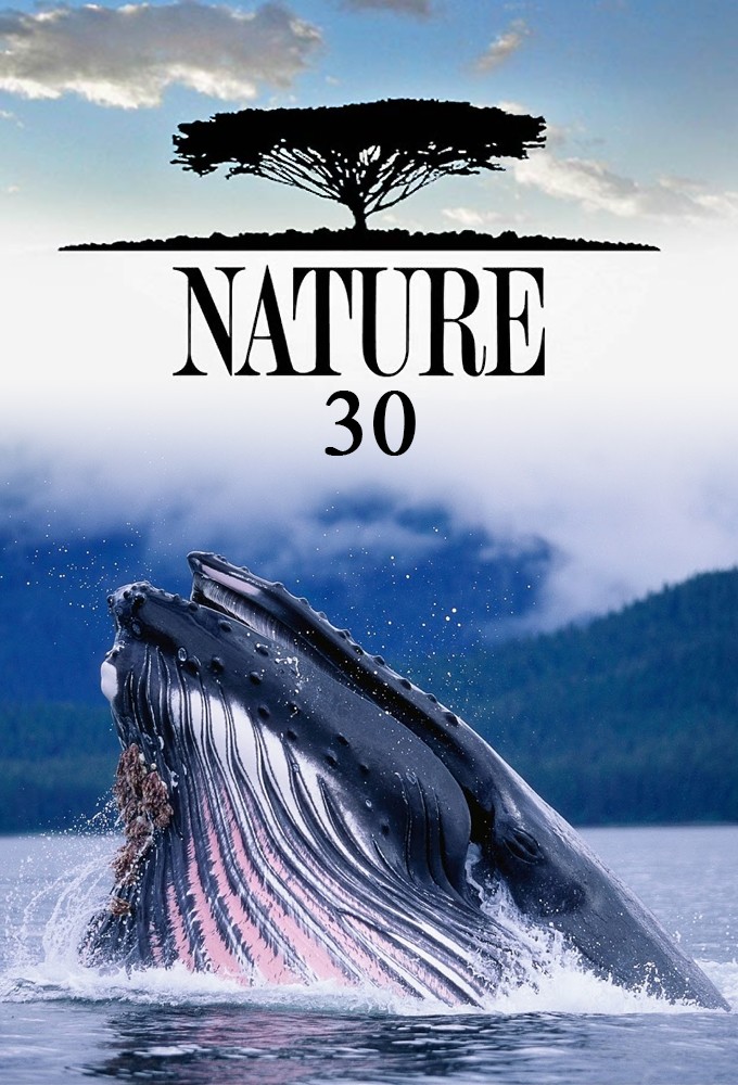 Nature saison 30