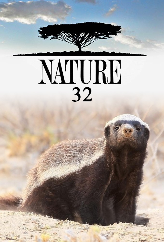 Nature saison 32