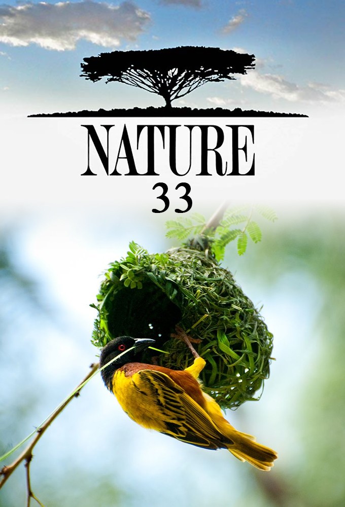 Nature saison 33