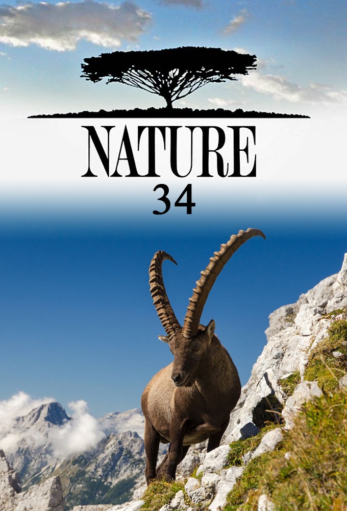 Nature saison 34