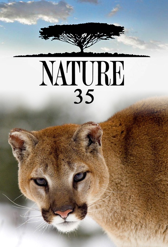 Nature saison 35