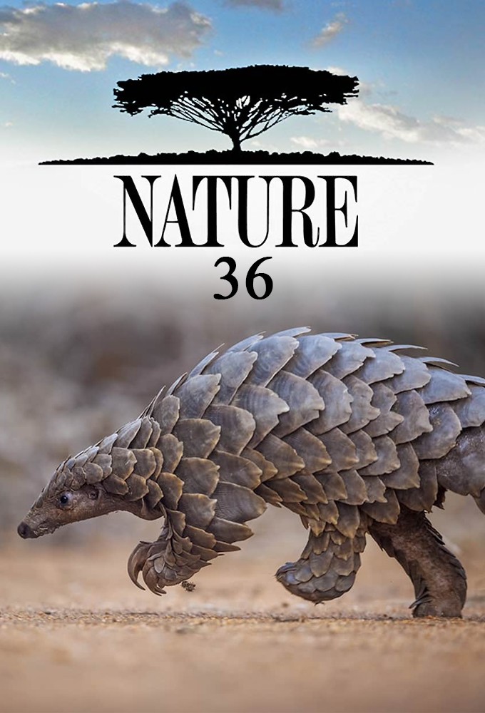 Nature saison 36