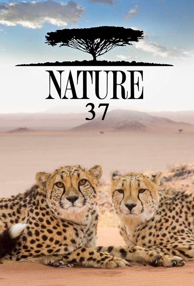 Nature saison 37