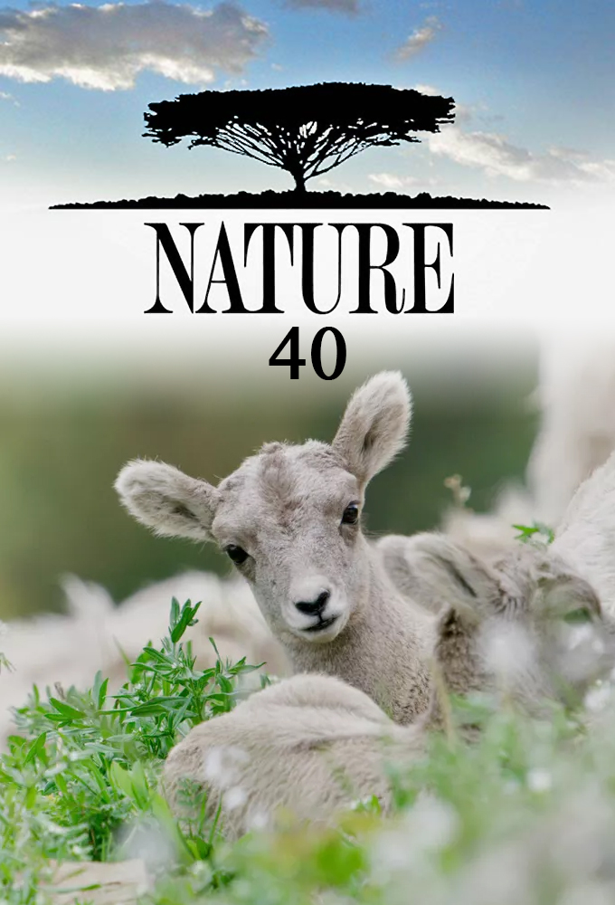 Nature saison 40