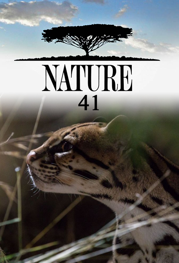 Nature saison 41