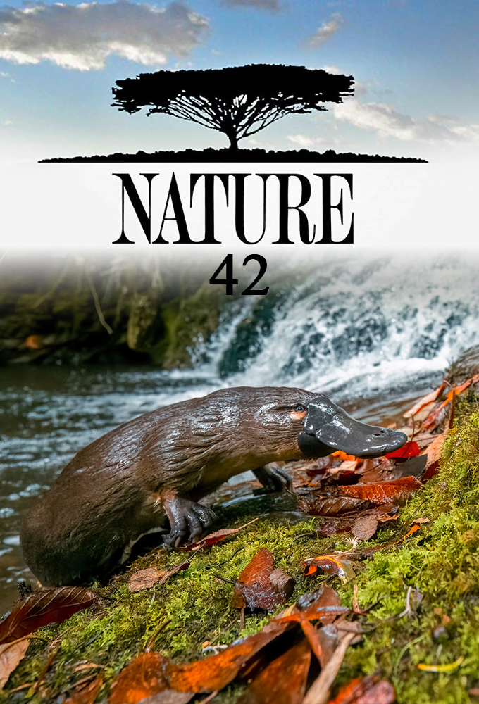 Nature saison 42