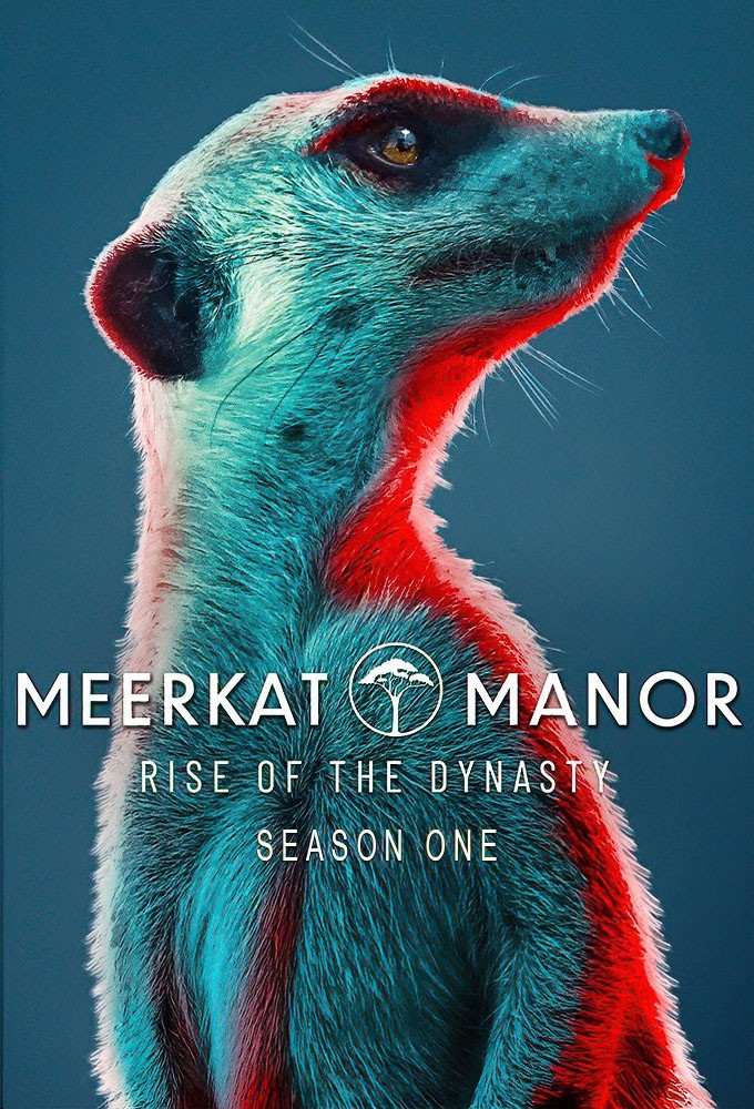 Meerkat Manor: Rise of the Dynasty saison 1