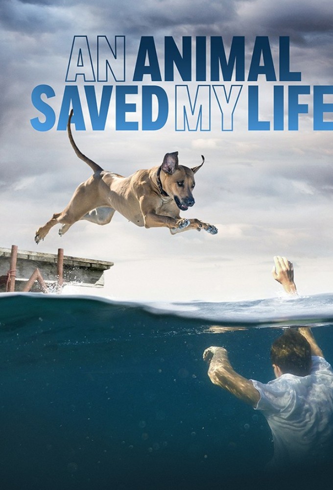 An Animal Saved My Life saison 1